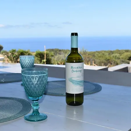 Dreamcatcher Villa: Infinity Pool, Sunset, Seaview 别墅 Agios Leon